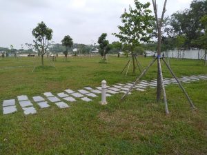 Lộc Nguyên thực hiện dịch vụ trồng cỏ trồng cây xanh tại Phú Nhuận TpHCm