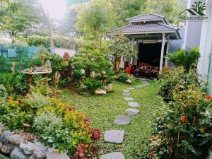 Đơn vị thi công cây xanh tại Phú Nhuận uy tín