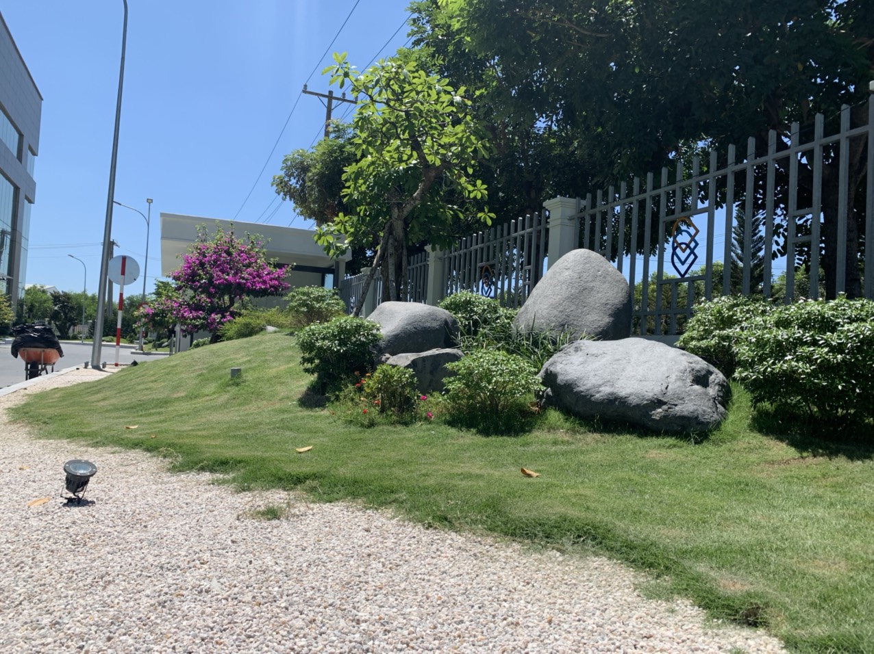 Công ty chăm sóc cây xanh tại Tân Phú Tp HCM