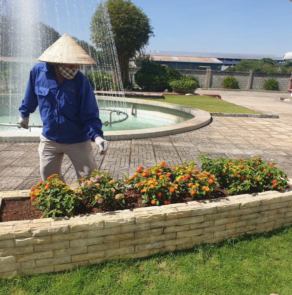 Công việc thi công cây xanh tại Tân Phú Hồ Chí Minh