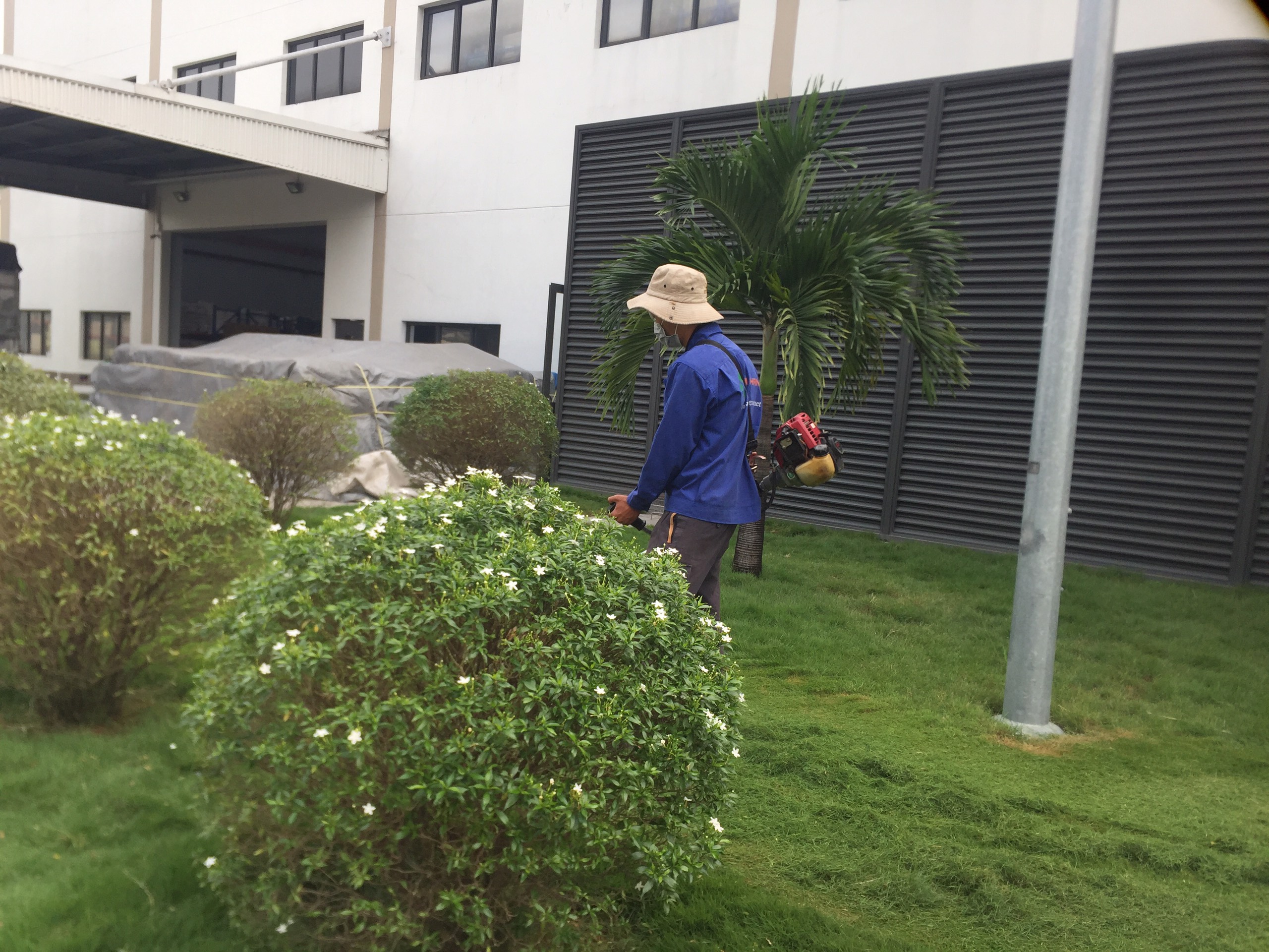 Đơn vị cắt cỏ tại Gò Vấp giá rẻ - Lộc Nguyên