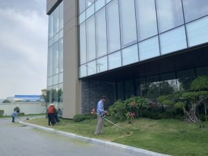 Thuê đơn vị cắt cỏ tại Phú Nhuận Hồ Chí Minh uy tín