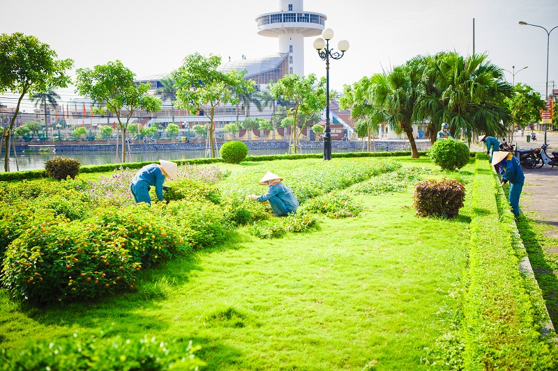 cat-tia-cay-xanh-tai-long-an