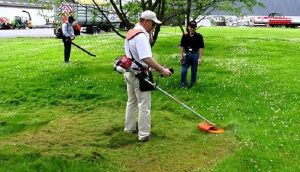 Đơn vị cắt cỏ tại Tân Bình giá rẻ