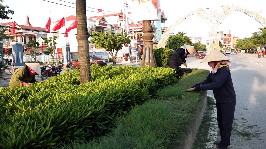 Mục đích của việc cắt tỉa cây xanh