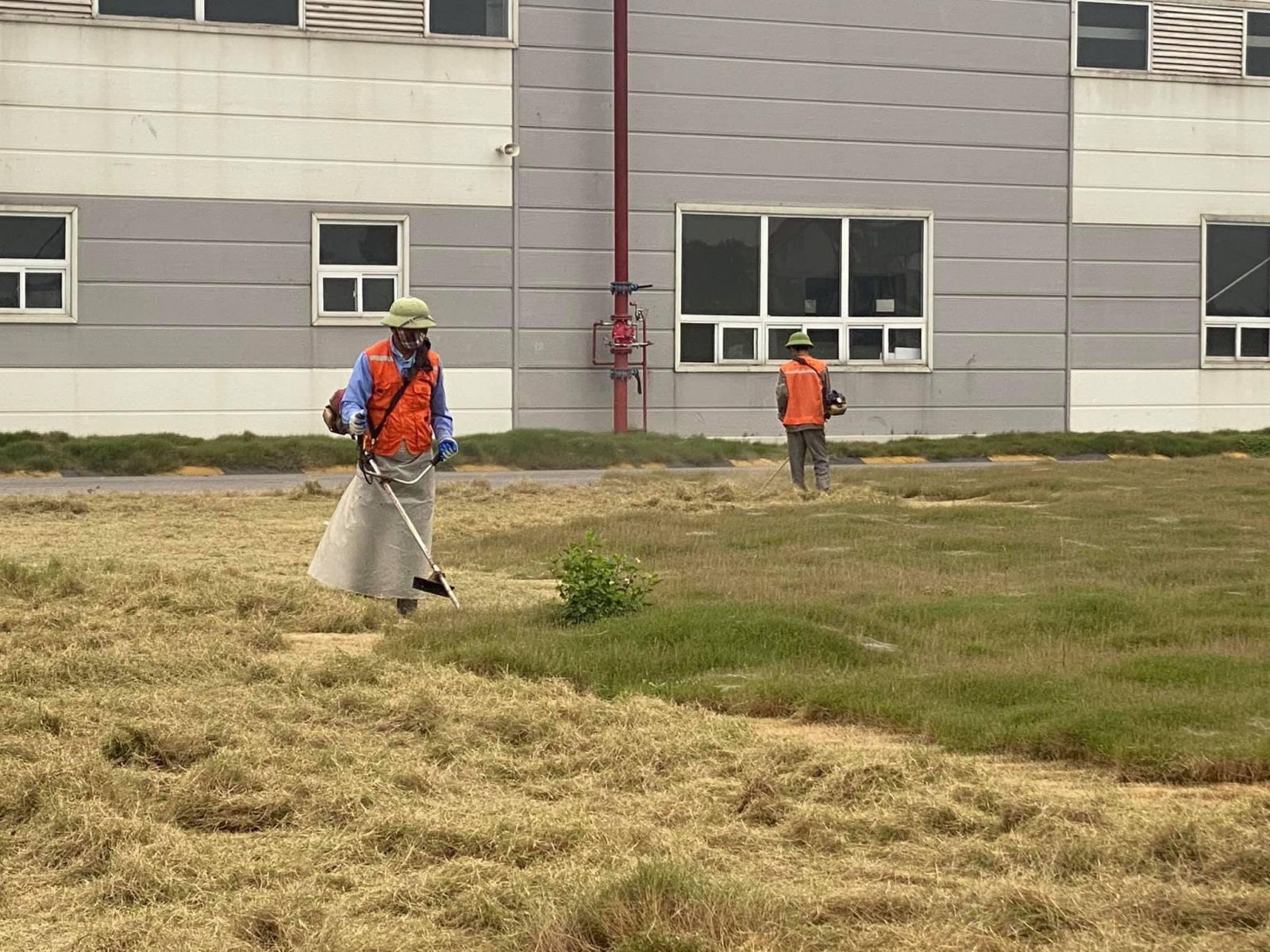 Phân loại dịch vụ cắt cỏ tại Tân Phú