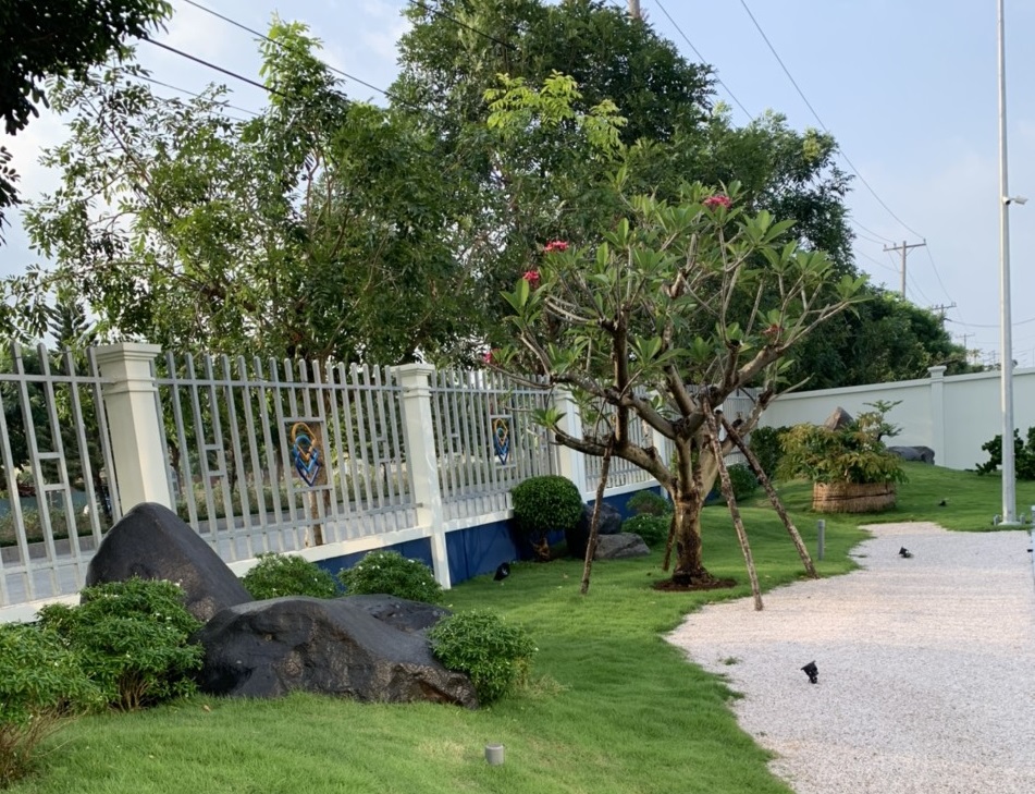 Thi công cây xanh tại Bình Chánh TpHCM