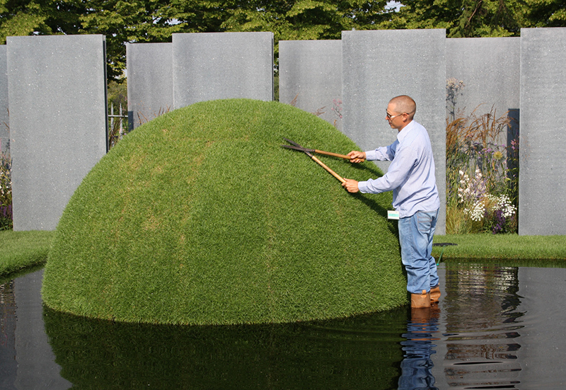 Dịch vụ cắt tỉa cây xanh tại Củ Chi