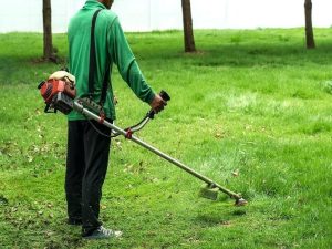 dịch vụ cắt cỏ tại Long An giá rẻ