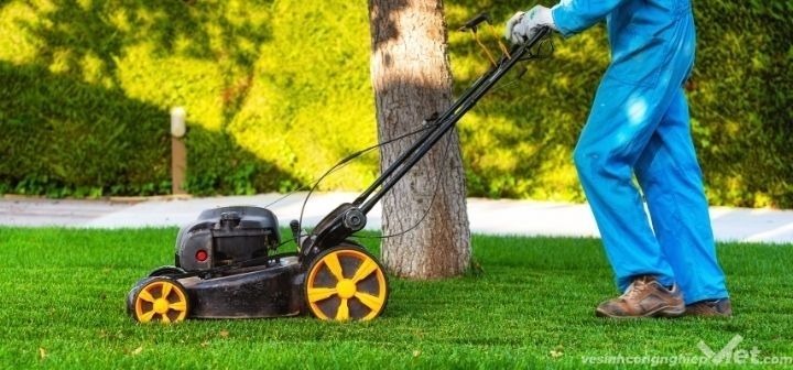 Cam kết mức độ an toàn của đơn vị cắt cỏ tại Hóc Môn HCM