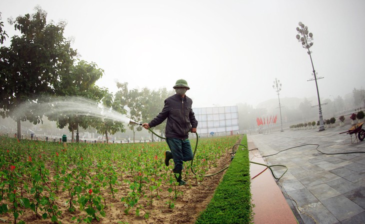 Công ty cây xanh TPHCM Đại Phú Mỹ