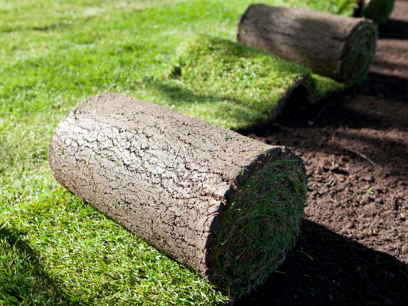 Công ty TNHH Dịch vụ LS Lộc Nguyên