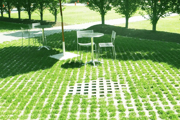 Công Ty TNHH Ngoại Thất Xanh