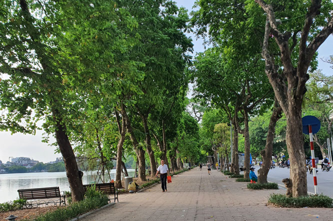 Công ty TNHH Dịch vụ LS Lộc Nguyên