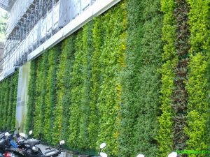 Thi công cây xanh tại Nhà Bè HCM