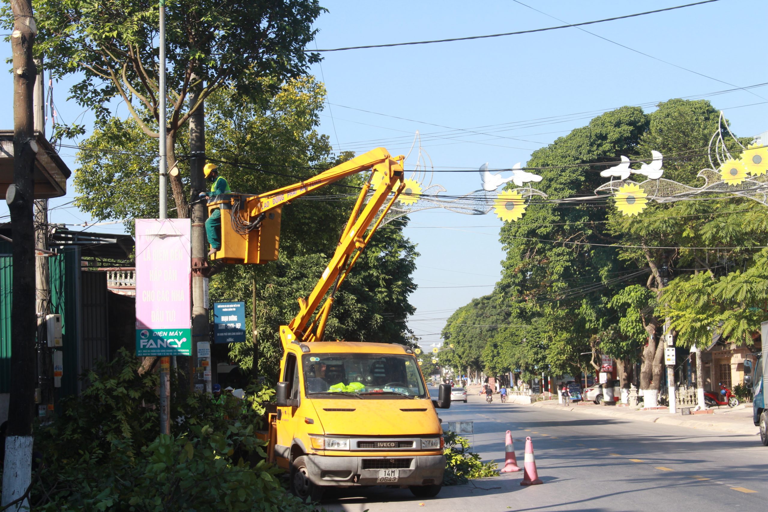 Top 5 dịch vụ cắt tỉa cây xanh tại TpHCM tốt nhất