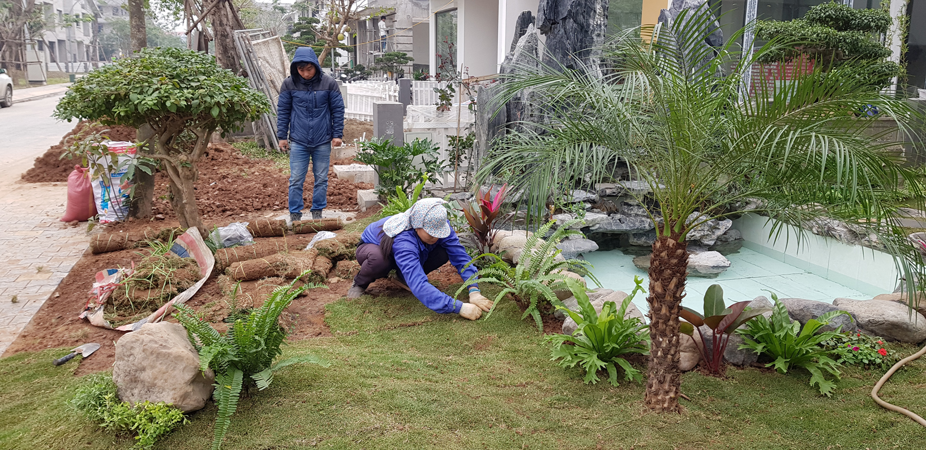 Chú trọng đến việc chăm sóc đất