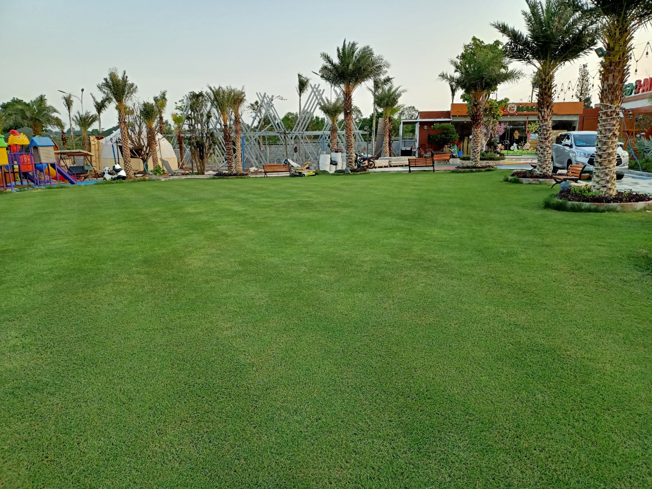 8 loại cỏ trồng cho sân vườn phổ biến nhất hiện nay