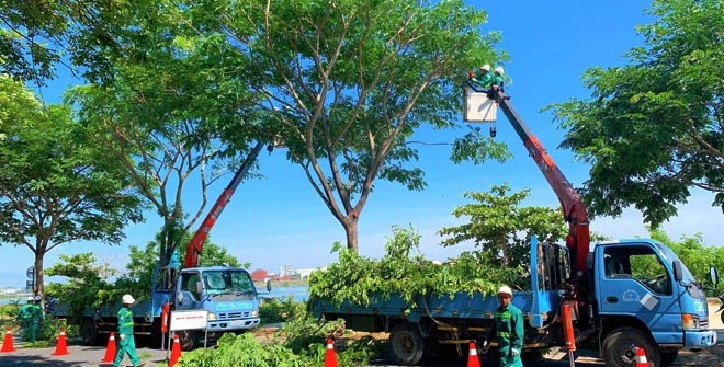 Quá trình thực hiện