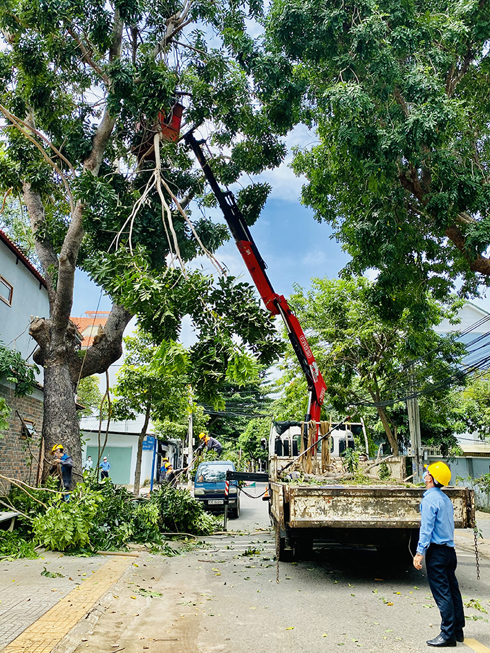 Cắt tỉa cây xanh khu công nghiệp TPHCM
