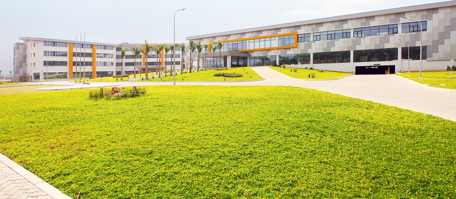 Cam kết khi sử dụng dịch vụ chăm sóc cây xanh cho khu công nghiệp