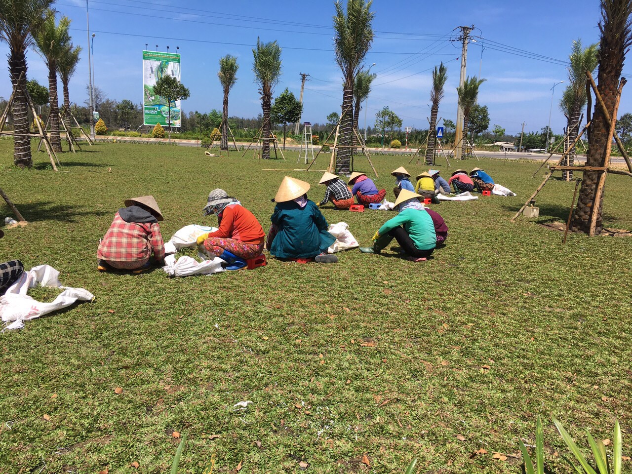 Chi phí cho dịch vụ trồng cỏ ở TPHCM