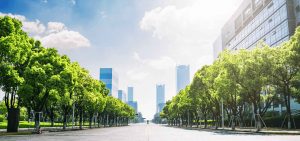 Công ty trồng cây xanh đô thị ở TPHCM uy tín