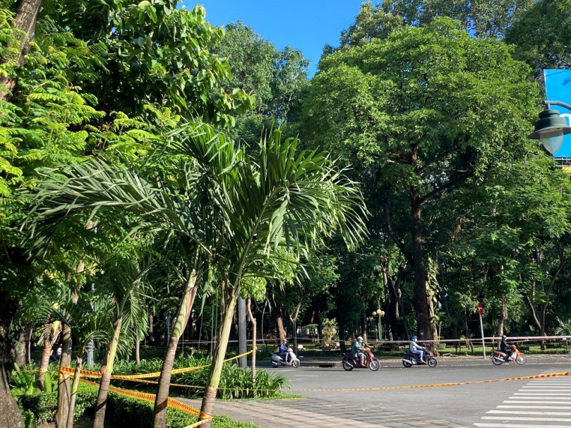 Lộc Nguyên - Công ty trồng cây xanh đô thị tại TP. HCM uy tín