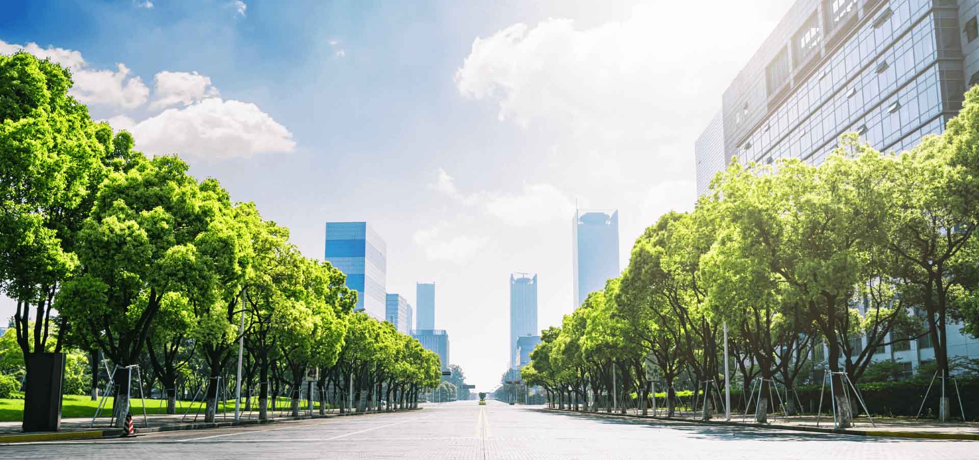 Công ty trồng cây xanh đô thị ở TPHCM uy tín