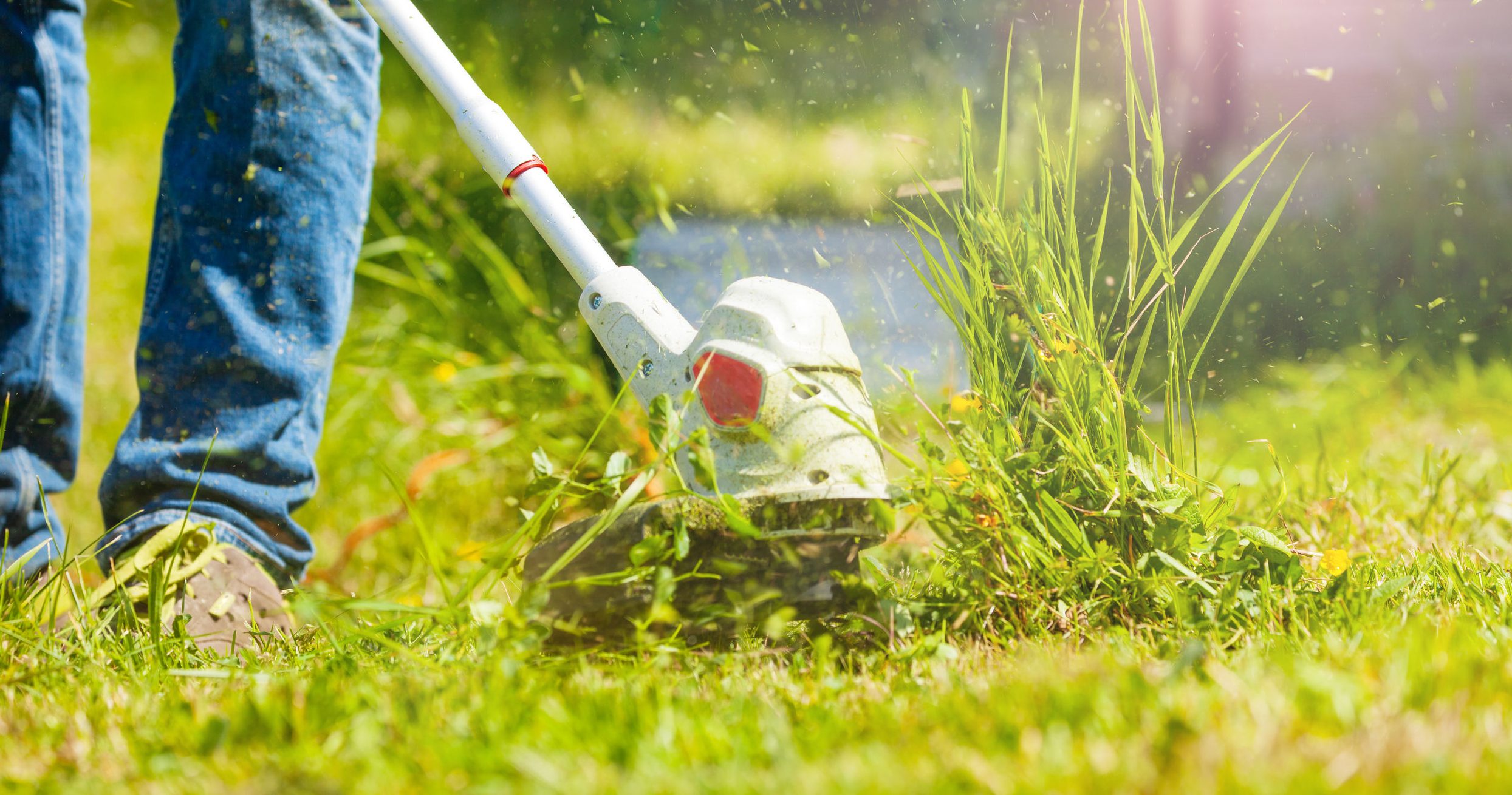 Lý do lựa chọn Lộc Nguyên cho dịch vụ cắt cỏ tại Tân An Long An