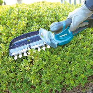 Dịch vụ cắt tỉa cây xanh ở Tân An Long An