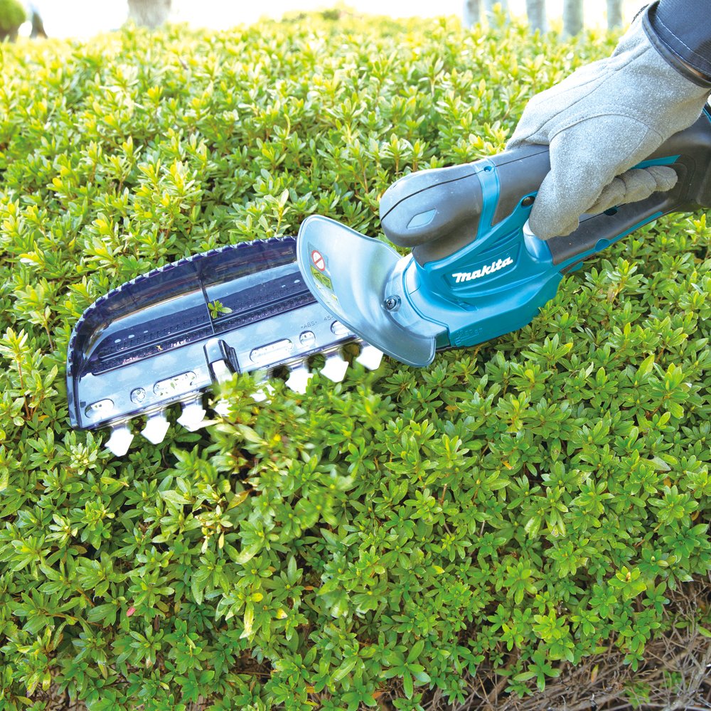 Dịch vụ cắt tỉa cây xanh ở Tân An Long An