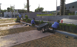 Dịch vụ trồng cây xanh Tân An Long An