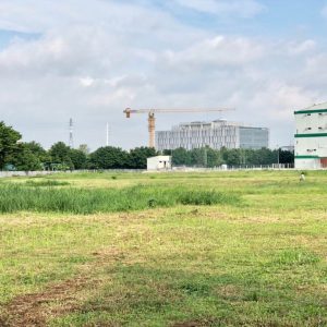 Đơn vị cắt cỏ ở Long An