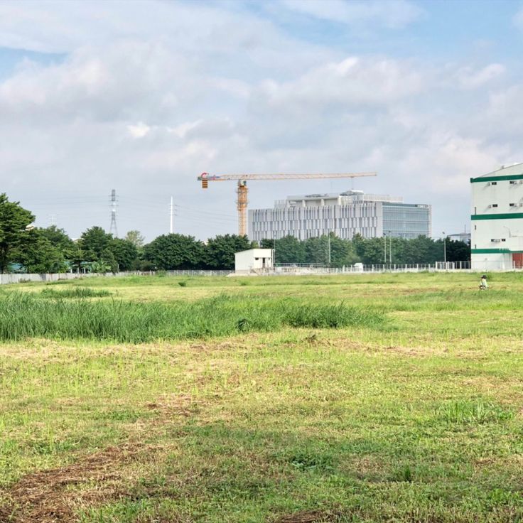 Đơn vị cắt cỏ ở Long An