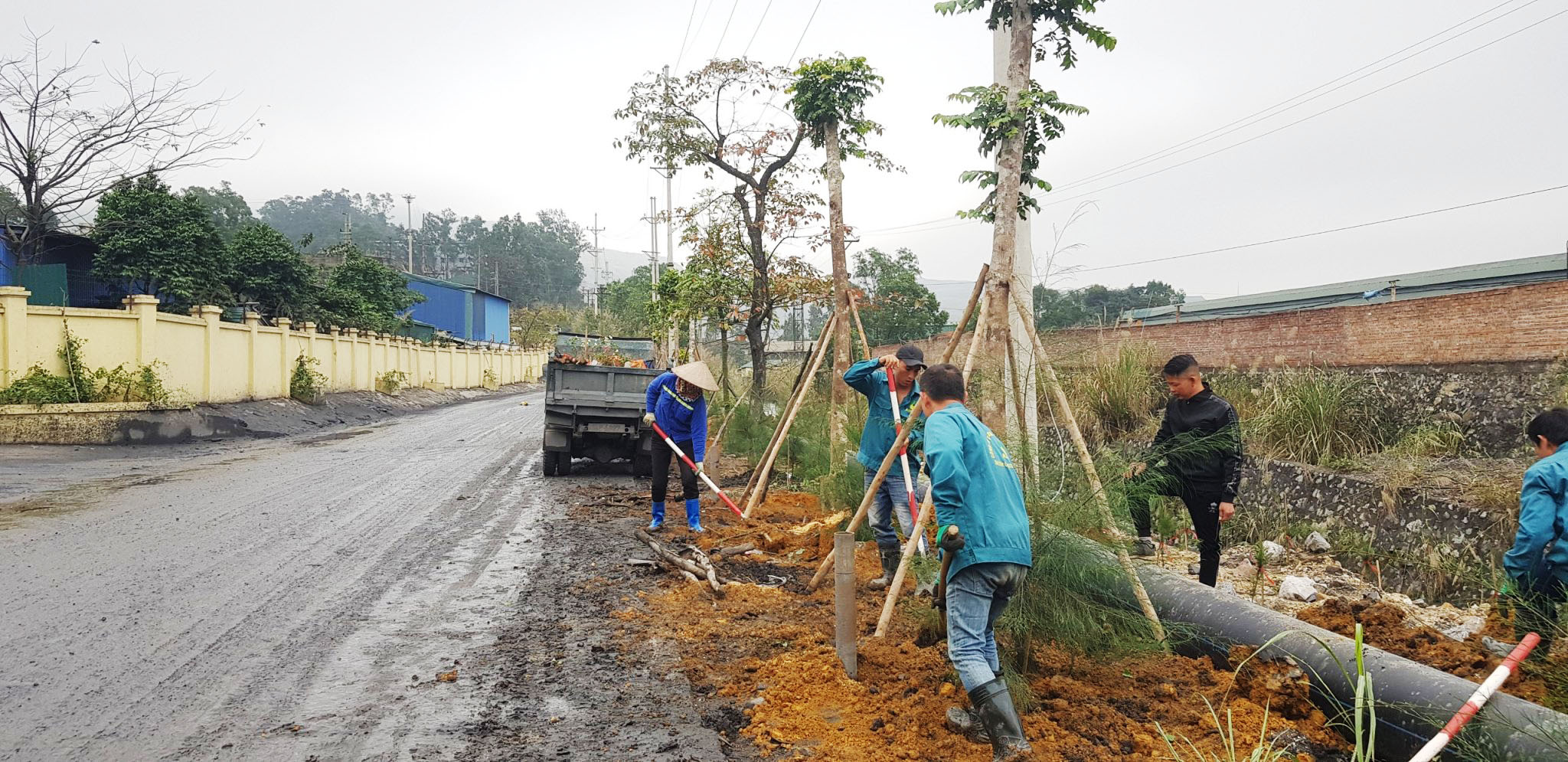 Lộc Nguyên - Đơn vị cung cấp dịch vụ trồng cây xanh uy tín tại Tân An Long An