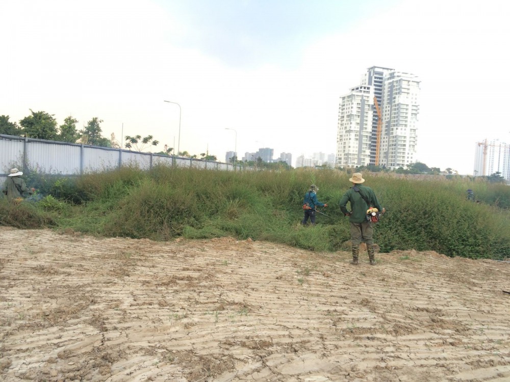 Lợi ích khi thuê dịch vụ phát hoang cỏ dại tại Long An