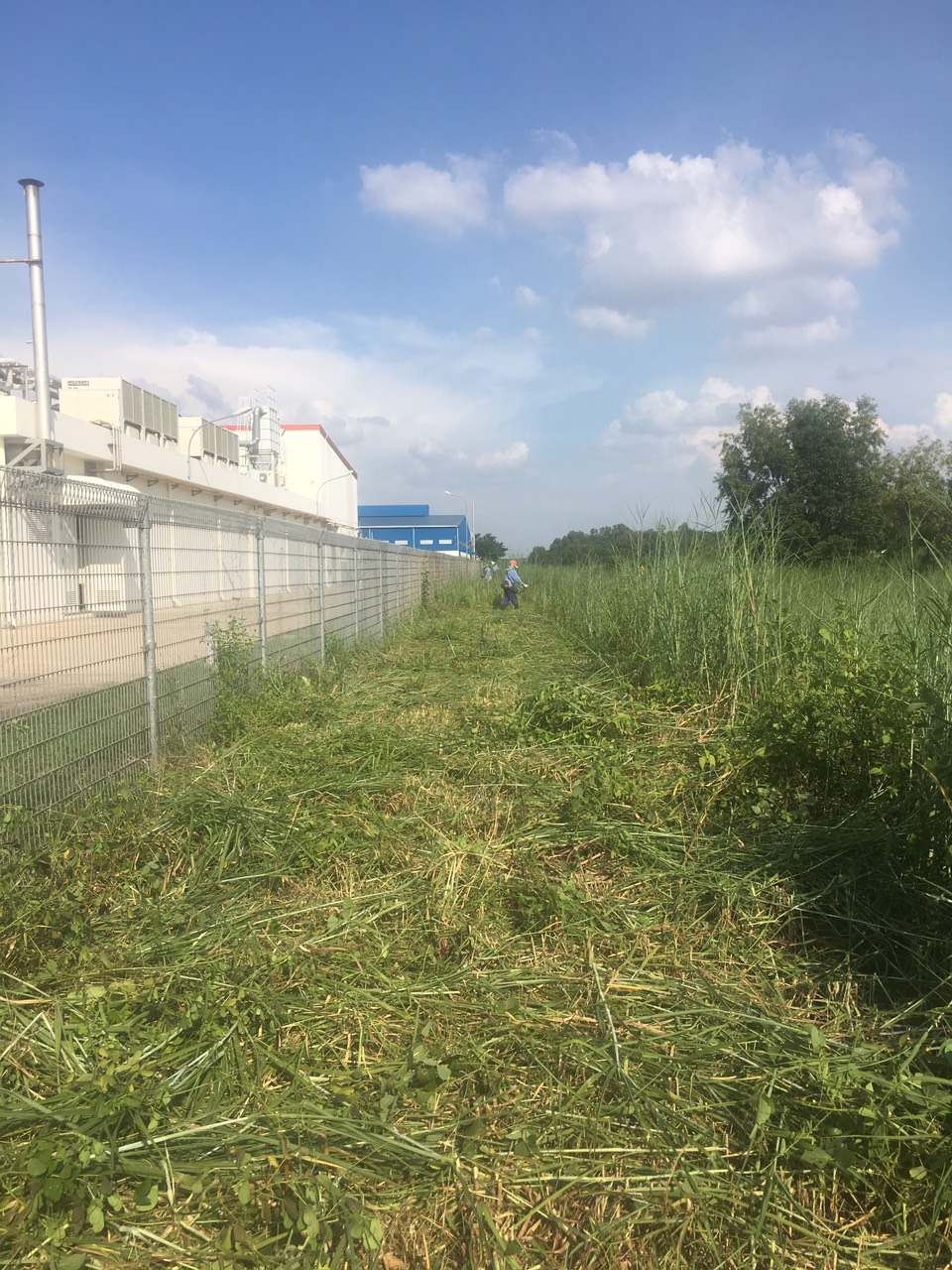 Dịch vụ phát hoang cỏ dại của Lộc Nguyên có gì đặc biệt hơn các đơn vị khác tại Long An