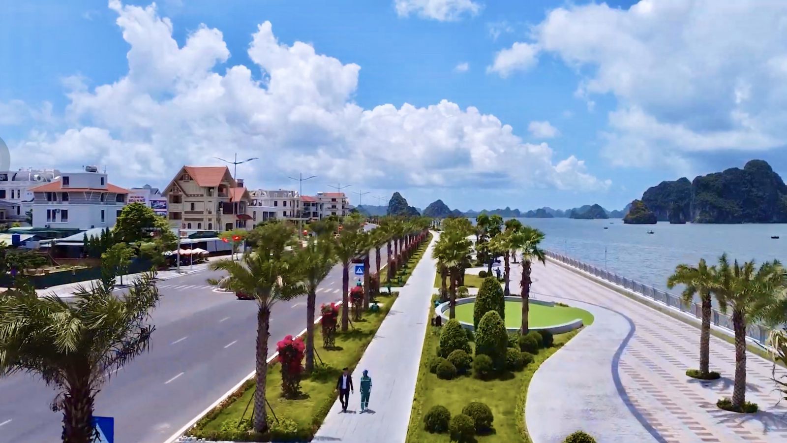 Đơn vị cung cấp dịch vụ cây xanh tại Tân An Long An