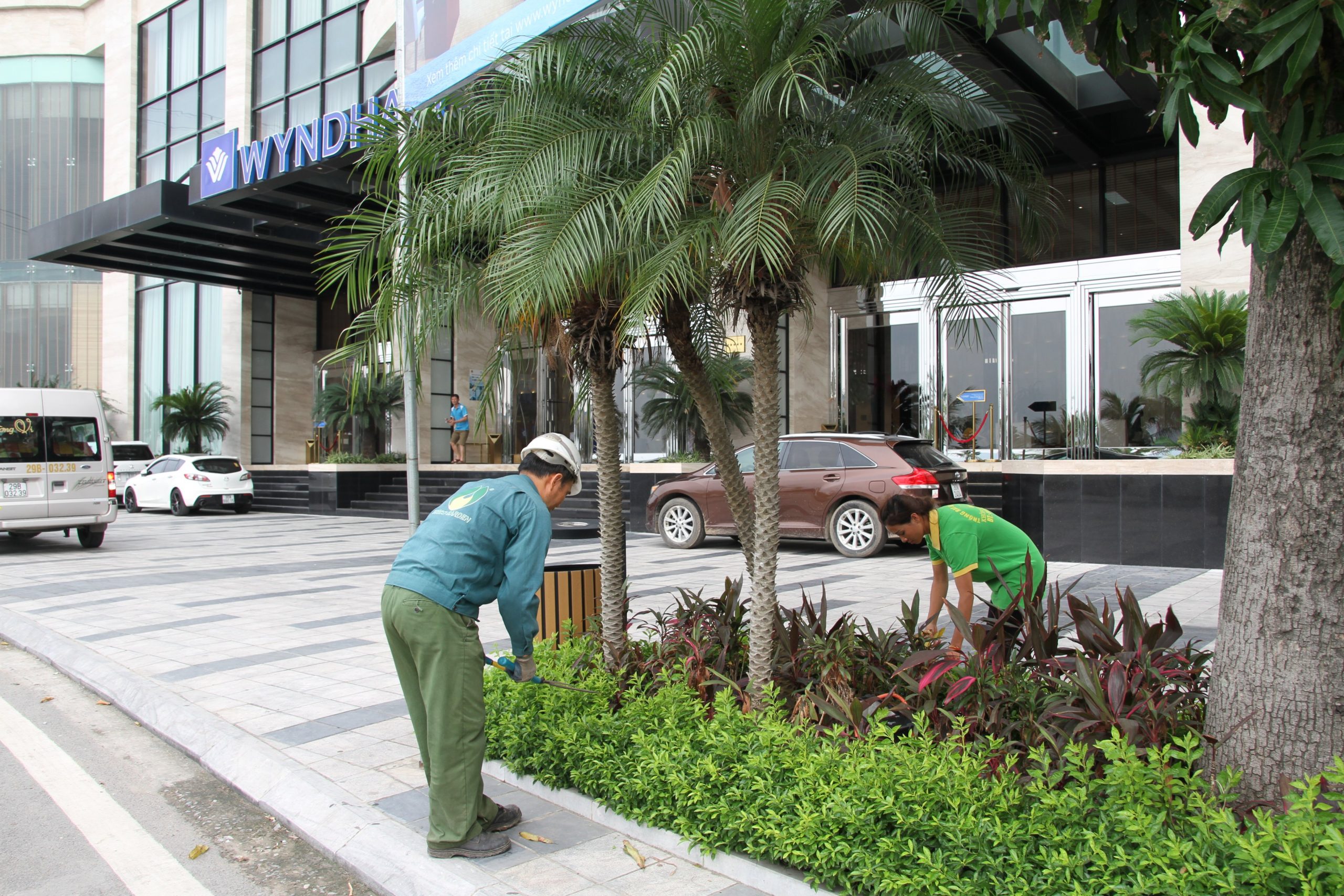 Dịch vụ chăm sóc cây xanh đem lại lợi ích gì?