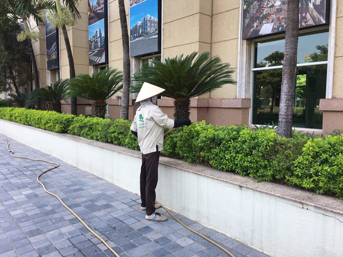 Dịch vụ chăm sóc cây xanh đem lại lợi ích gì?