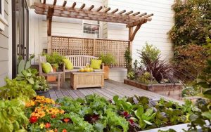 Dịch vụ thiết kế thi công cây xanh ở Kiến Tường Long An