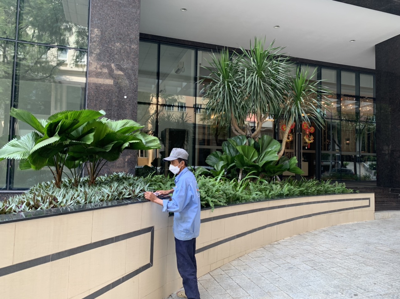 Dịch vụ chăm sóc cây xanh Bến Lức Long An của Lộc Nguyên có gì?