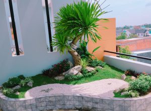 Dịch vụ cây xanh tại Bến Lức Long An