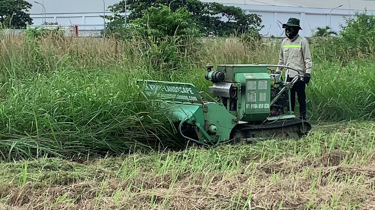 Vì sao nên chọn dịch vụ phát có hoang uy tín?
