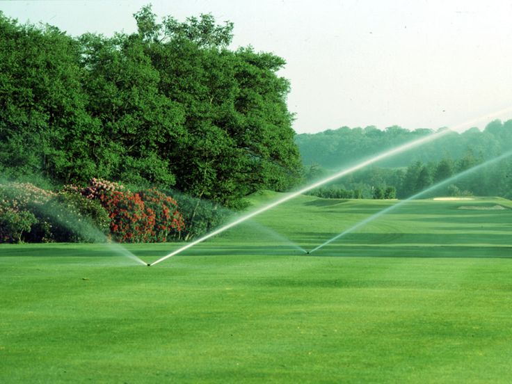 Quy trình dịch vụ trồng cỏ tại Long An của Lộc Nguyên