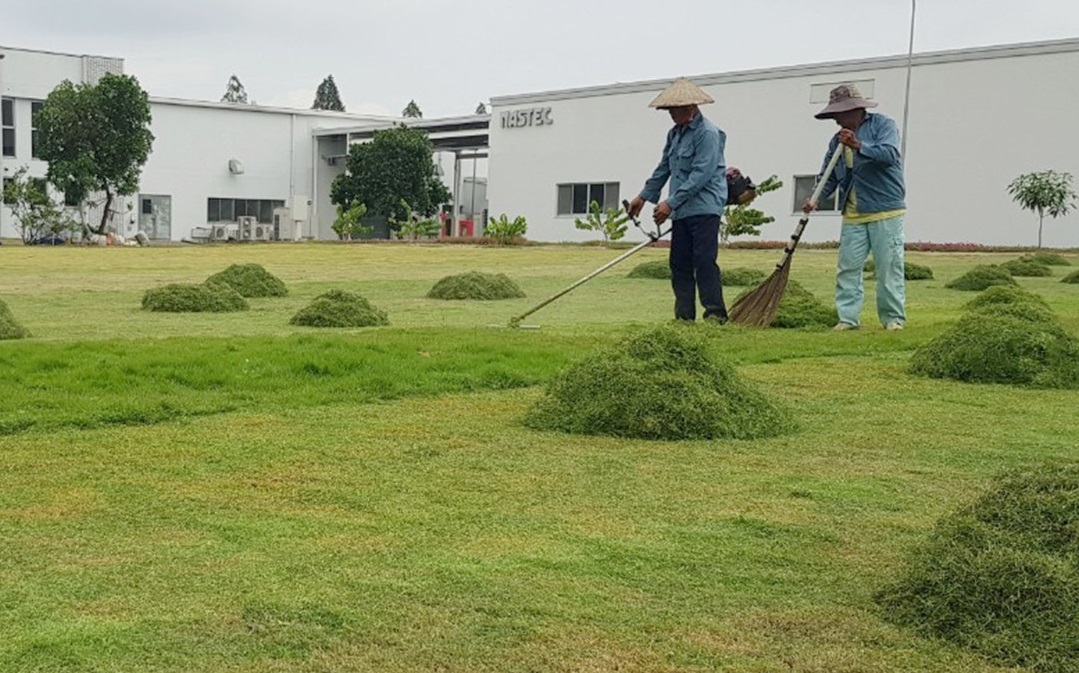 Dịch vụ phát cỏ hoang tại Bến Lức Long An