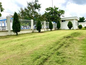 Dịch vụ cắt cỏ ở Cần Giuộc Long An