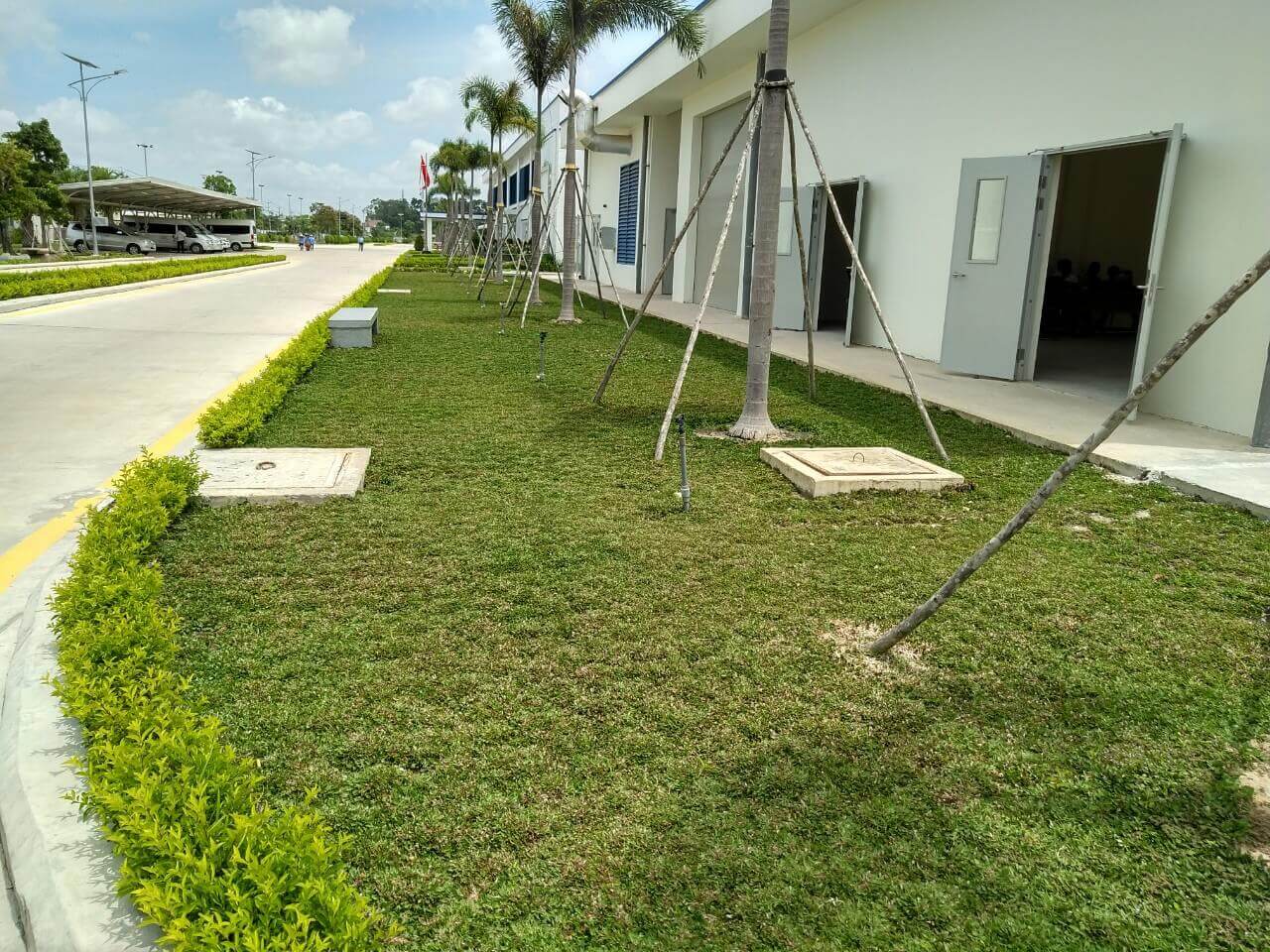 Dịch vụ trồng cỏ ở Cần Giuộc Long An