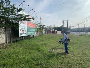 Phát cỏ hoang ở Thủ Thừa Long An